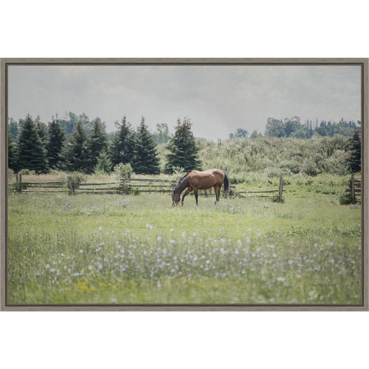 Sun Drenched II (Horse) by Elizabeth Urquhart 23-in. W x 16-in. H. Canvas Wall Art Print Framed in Grey